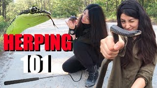 HOW TO FIND SNAKES  HERPING FOR BEGINNERS