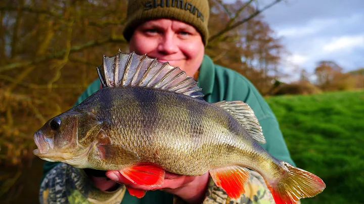 Perch Fishing On Bobbers (Video 105)