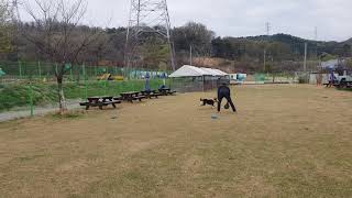 테프20180413