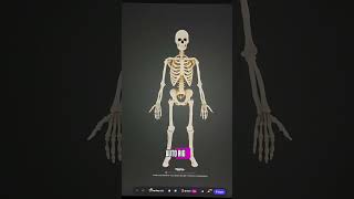 Auto Rig just changed the workflow. No more skinning pain. #tripoai #3danimation