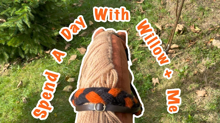Spend a day with my HOBBY HORSE Willow!