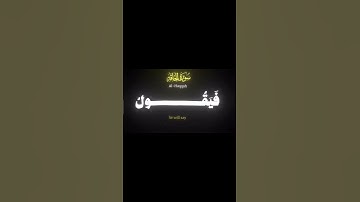 اكتب شيء تؤجر عليه تلاوة محمد اللحيدان #محمد_اللحيدان #قران_كريم ##قران  #محمد_اللحيدان