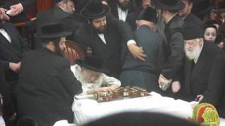 Tosher Rebbe 2011