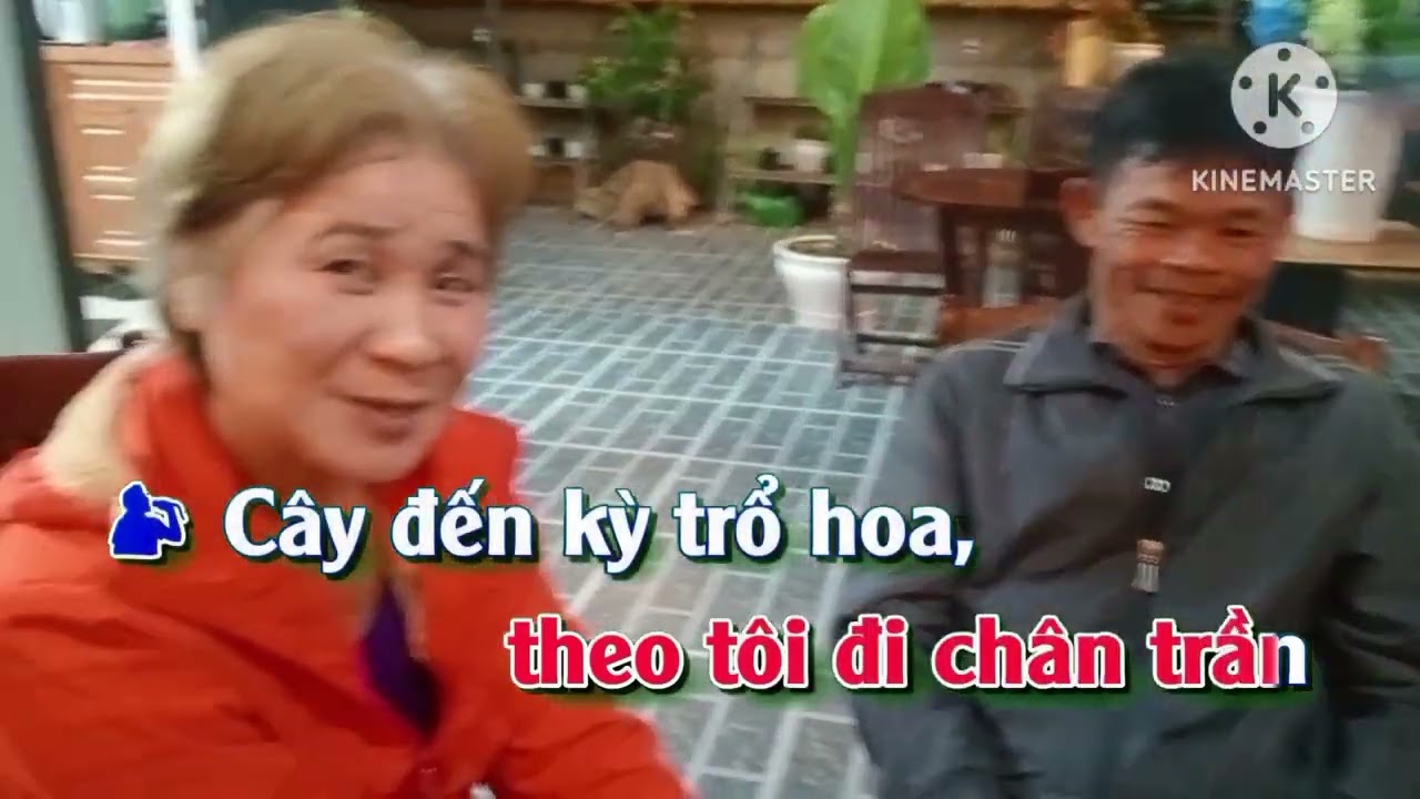 Neo đậu bến quê 4321