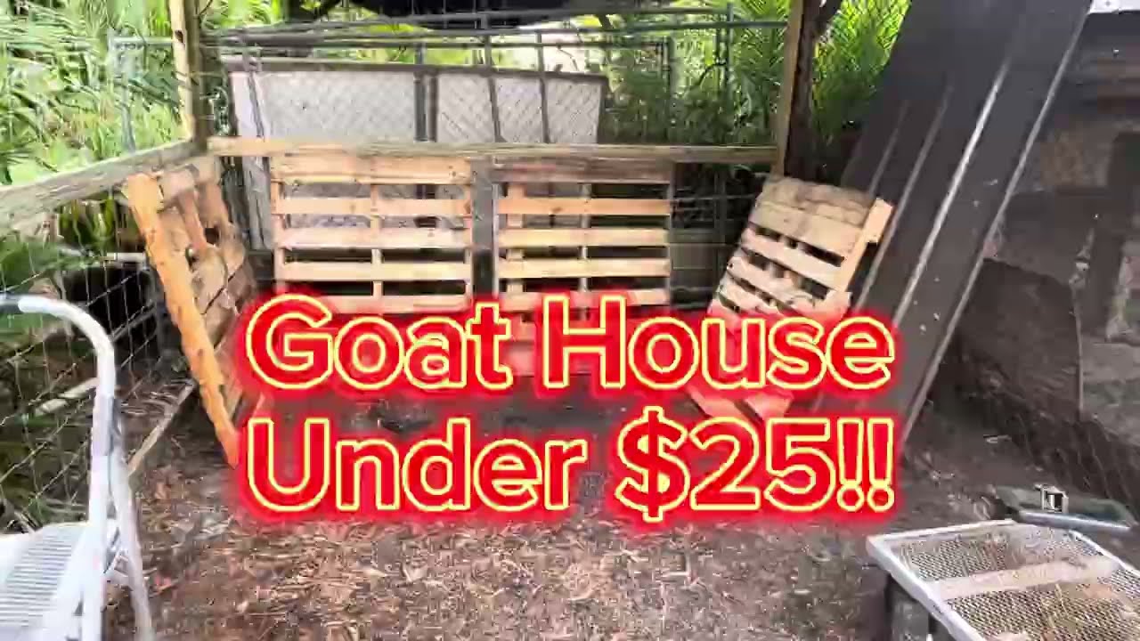 Cheap Goat House From Pallets, Practically Free 