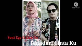 BIDADARI CINTA|| Adibal Sahrul //(Cover) Soni Egi ft Liza D'Academy