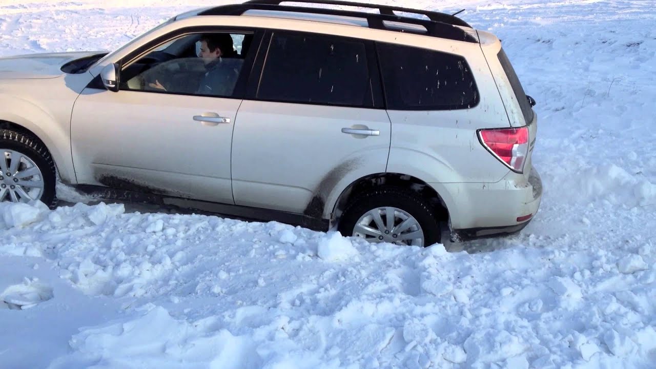 Outlander или forester
