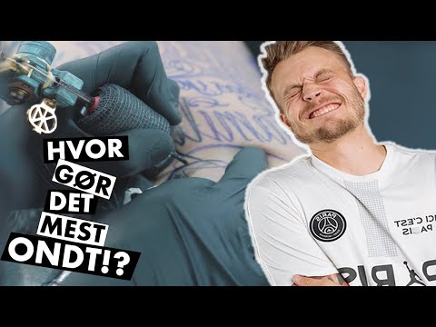 Video: Gør udstødelse ondt på køer?