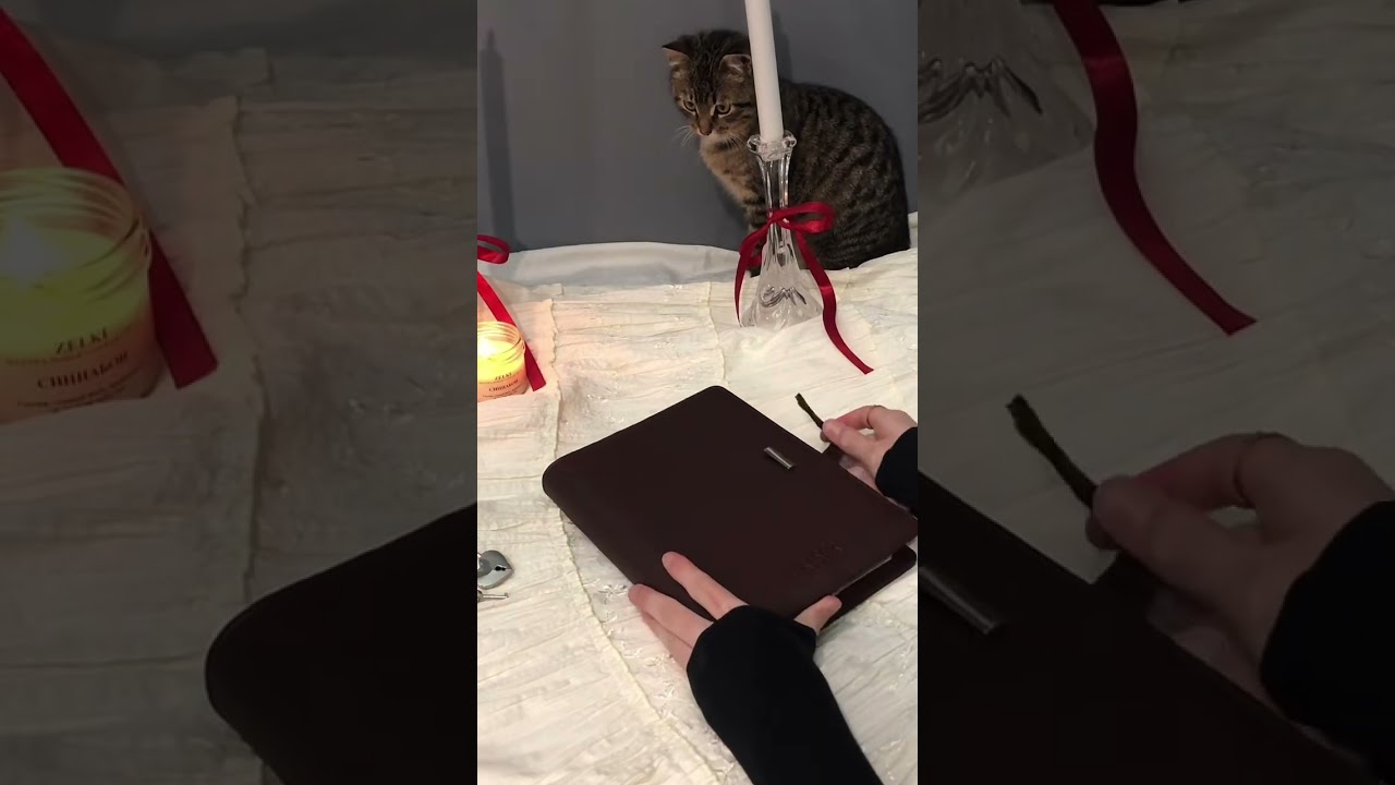 С любовью и нежностью 💌Арт. ежедневника на WB: 