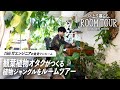 【ルームツアー】全方向観葉植物!趣味を詰め込んだジャングルワンルーム|ひとり暮らし|賃貸物件|ロフト