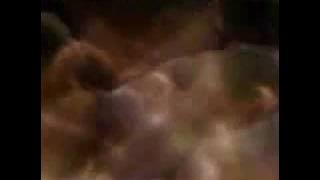 Enigma - Mea Culpa part II [fading shades mix].flv