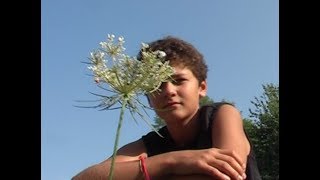 IL MISTERO DELL’ADOLESCENZA IL MISTERO DELL’ADOLESCENZA