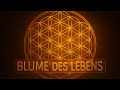 Erkenntnis Quelle 💡 Thema: Blume des Lebens Heilige Geometrie, Ursprung & Kraft der Schöpfung