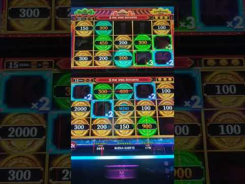 Queen of the City Jungle | Astoria casino