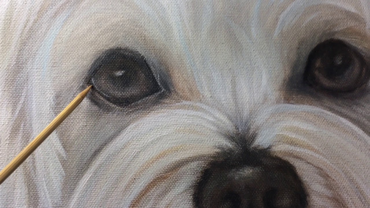 painting dog eyes