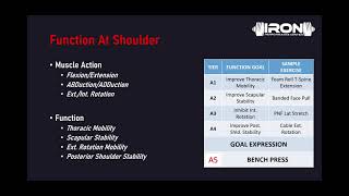Redefining Functional: Bridging The Training Gap