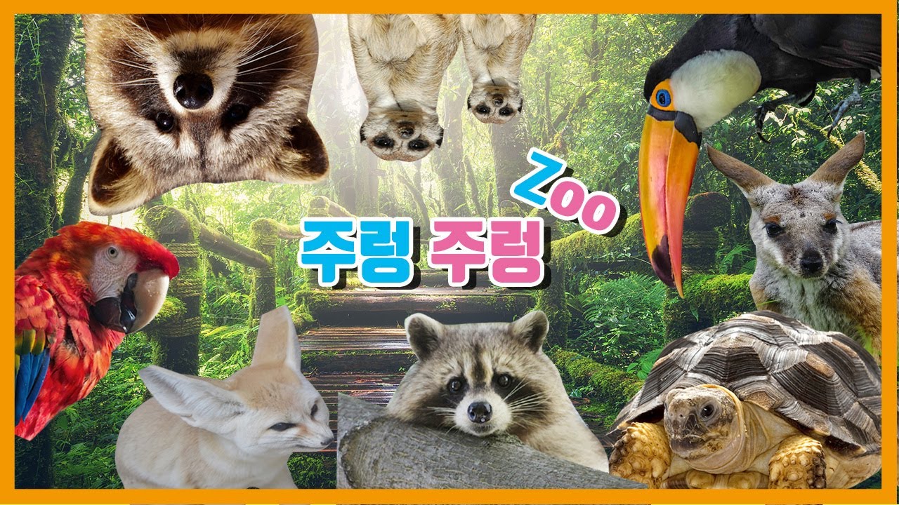 신기한 동물들!  주렁주렁 애니멀 테마파크 실내놀이터~ Indoor Animal Theme Park Zoo LululalaTV 룰루랄라티비