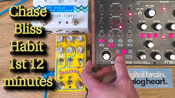 Chase Bliss Habit Pedal Echo Collector w/ Moog Subharmonicon