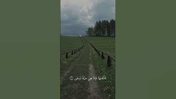 سورة طه | الاية 17 - 21 |محمد أيوب | #قرآن #اكسبلور #قران_كريم #تلاوة_خاشعة #راحة_نفسية
