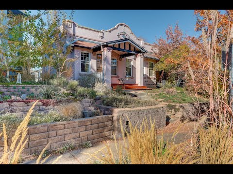 1161 Elizabeth Street, Denver, CO home video tour