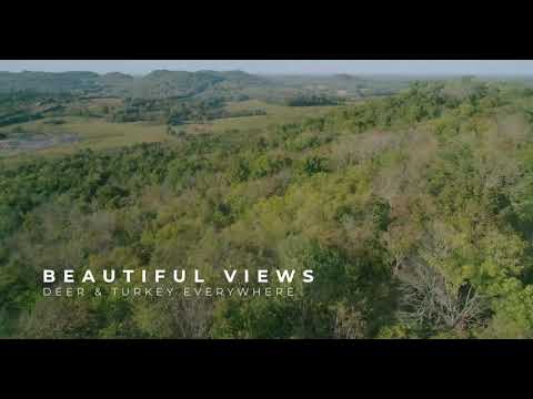 2480 polly adams rd, Belfast, TN home video tour