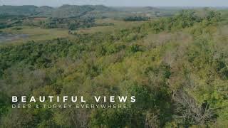 2480 polly adams rd video tour