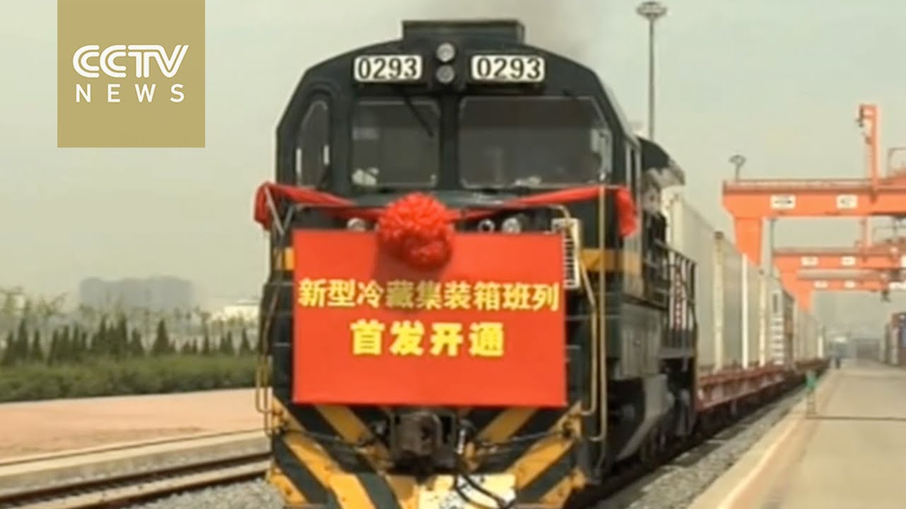 China's first ocean-rail cold chain supply network set up in Dalian
