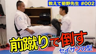 倒せる前蹴り　当たる前蹴り　膝がコックピット【教えて菊野先生#002】
