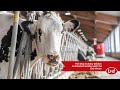 The Way To Dairy Winner: Automated Feeding with the Lely Vector