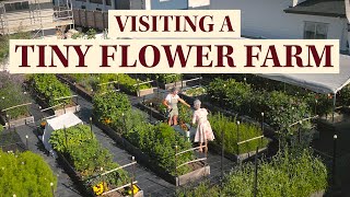 A visit to a miniature Flower Farm - The Urban Floral Farmlet!