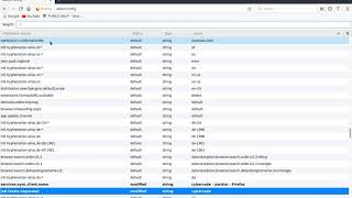 Mozilla Firefox Türkçe Yapma