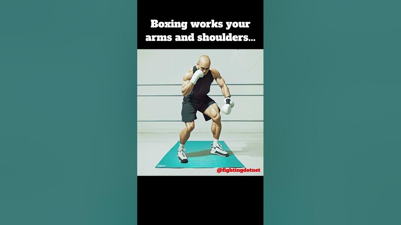 Which Muscles Does Boxing Work the Most? Boxing Workout Anatomy 