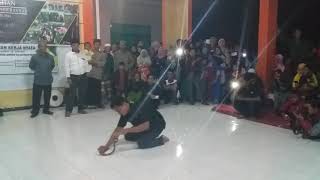 Ular Lanang Sapi Jember