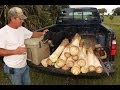 Hearts Of Palm: Swamp Cabbage Stew