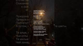 Тгк: литературная столица                  #стихи #любовь #литература #книги #одиночество #любовь