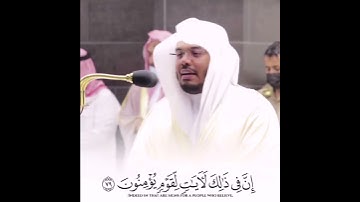 "أَلَمْ يَرَوْا إِلَى الطَّيْرِ مُسَخَّرَاتٍ" من سورة النحل تلاوة خاشعة الشيخ ياسر الدوسري