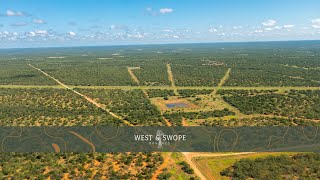 South Texas Hunting Ranch For Sale | Double J Ranch | Dimmit County