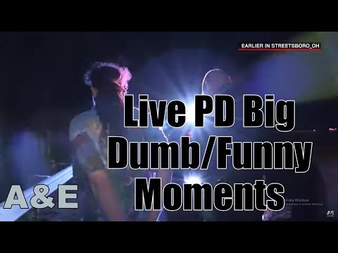 live-pd-big-dumb/funny-moments