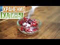 ВИТАМИННАЯ БОМБА ЗИМОЙ ☘ Как хранить калину всю зиму