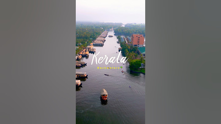 Beauty of Kerala Backwaters in Alleppey 🌴😍 #kerala #2025 #alleppeybackwaters #shortsfeed #ytshorts