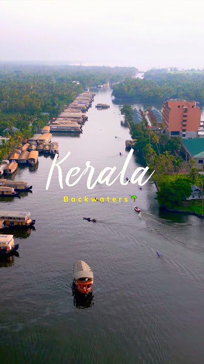 Beauty of Kerala Backwaters in Alleppey 🌴😍 #kerala #2025 #alleppeybackwaters #shortsfeed #ytshorts