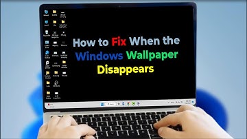 Fix Windows 11 Black Wallpaper Issue | How to Restore Disappearing Desktop Background
