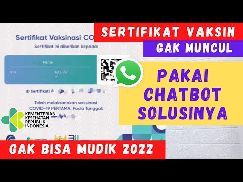 SOLUSI SERTIFIKAT VAKSIN TIDAK MUNCUL MELALUI CHATBOT KEMENKES 2022