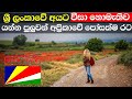 සීසෙල්ස් රටට වීසා ඕන නෑ | seychelles visit visa & job visa | seychelles sinhala