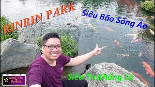 [Siêu Bão Sống Ảo] RINRIN PARK - Công Viên Đá Nhật - Ngắm cá Koi siêu to khổng lồ - Vlog15