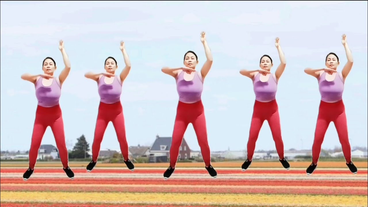 aerobics exercise, to lose weight, reduce belly fat, fat burning/lovely dance fit