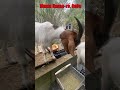 BM "Пиксель–Ранг Бог" Trip 17 #animals #love #doglife