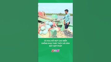 Cà Mau mở đợt cao điểm chống khai thác thủy hải sản bất hợp pháp #nongnghiepmientay