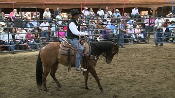 Ken McNabb Episode 338 - Top Bid Finale