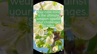 Enjoy the beauty of white flowers with calmness motivational quotes